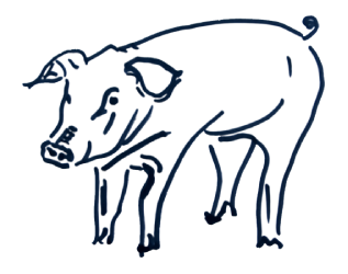 Productos premium de cerdo ibérico de bellota criado en libertad
